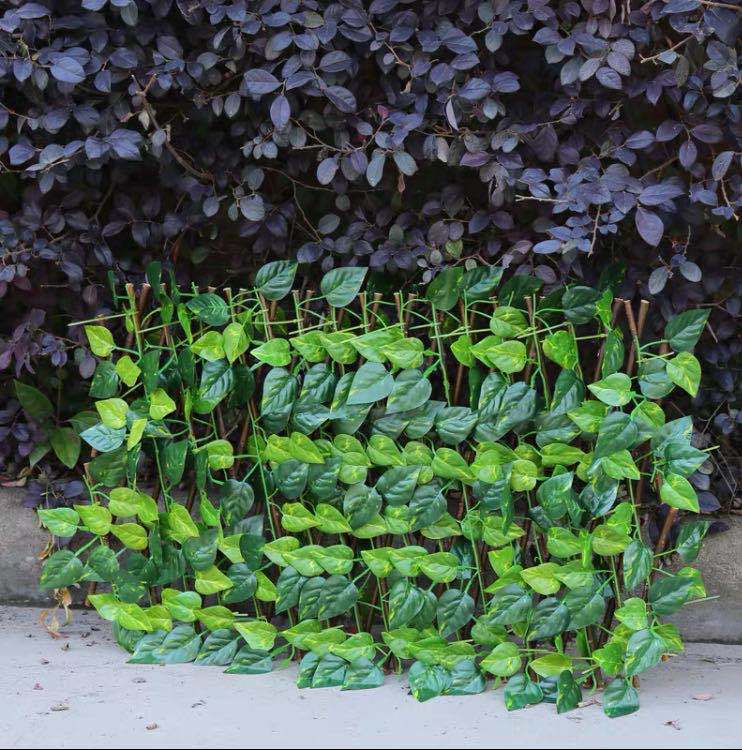 Expandable Wooden Garden Trellis – Anticorrosive Wood Fence Panel for Climbing Plants & Wall Décor