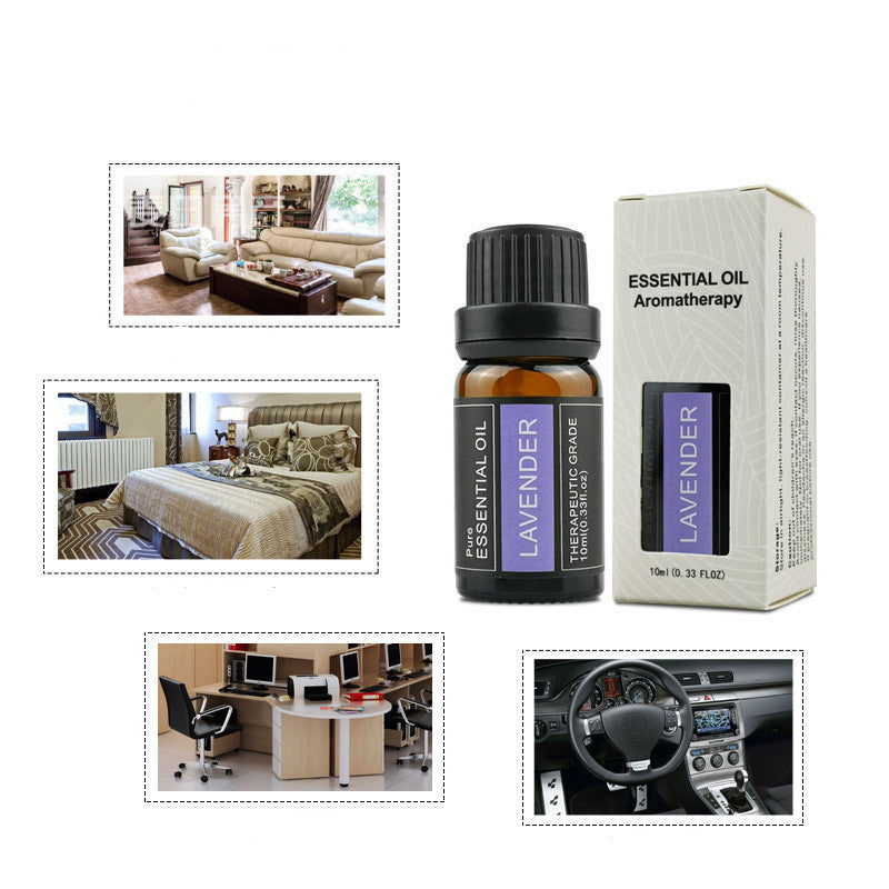 Aromatherapy Essential Oil – Ginger, Wormwood, Rose, Sandalwood (10ml) – Single Plant Fragrance for Diffusers & Relaxation